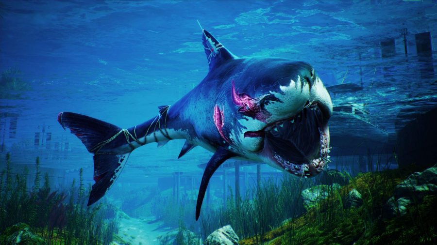 PS Plus Games 2021ランキング：有名なマネターサメは、切り傷や傷跡が付いた海で見ることができます。