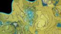 原神インパクトルッカシャバキノコの場所：地図の場所D