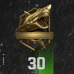 Modern Warfare 2 ランク: ランク 30 のシンボルが表示されます