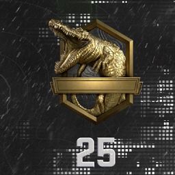 Modern Warfare 2 ランク: ランク 25 のシンボルが表示されます