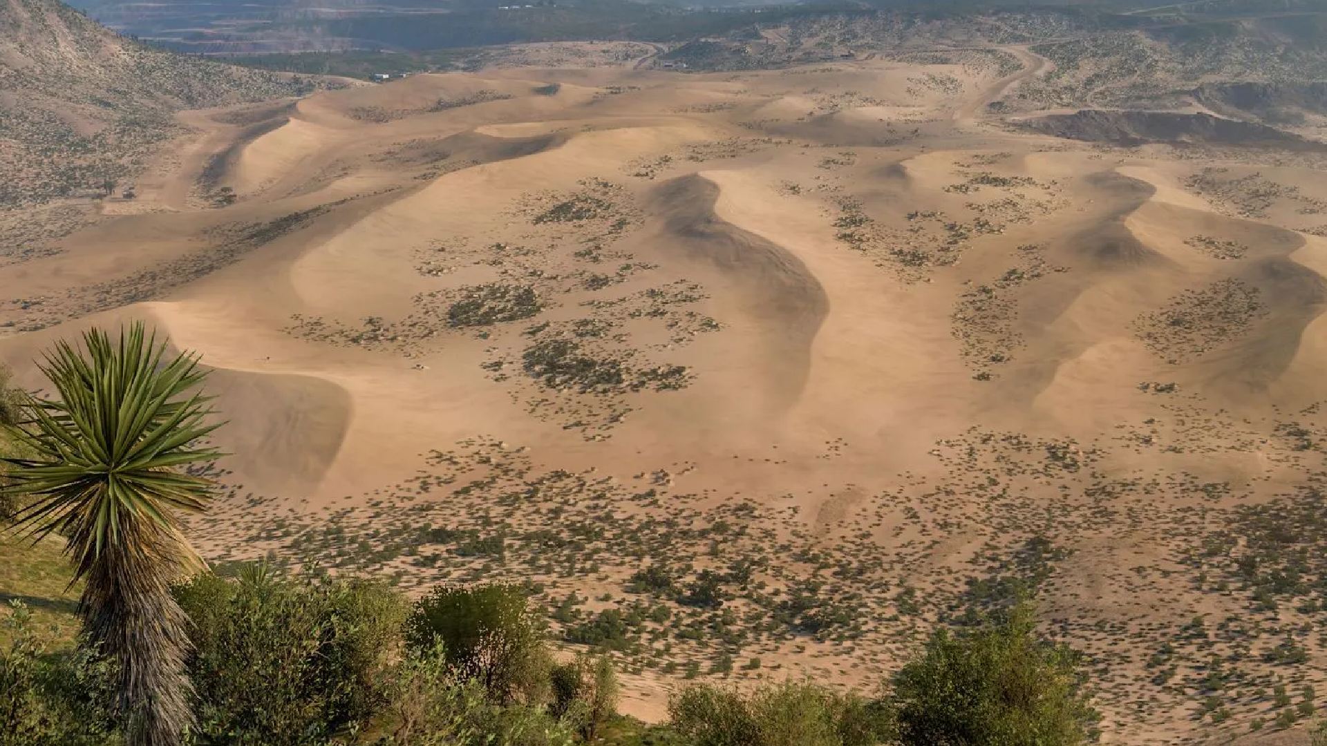 Forza Horizo​​n 5 Rally アドベンチャー マップ: 険しい砂丘が見える