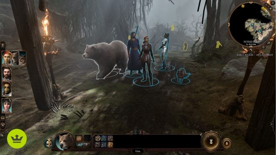 Baldur's Gate 3 コントローラーのサポート: 沼地にクマとともに立っているキャラクターのグループ。