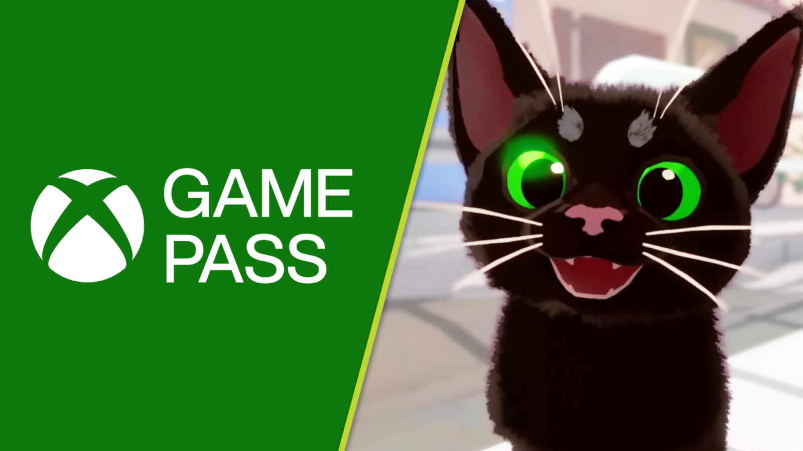 5 月の最初の Xbox Game Pass には、完璧な初日の発売が含まれます